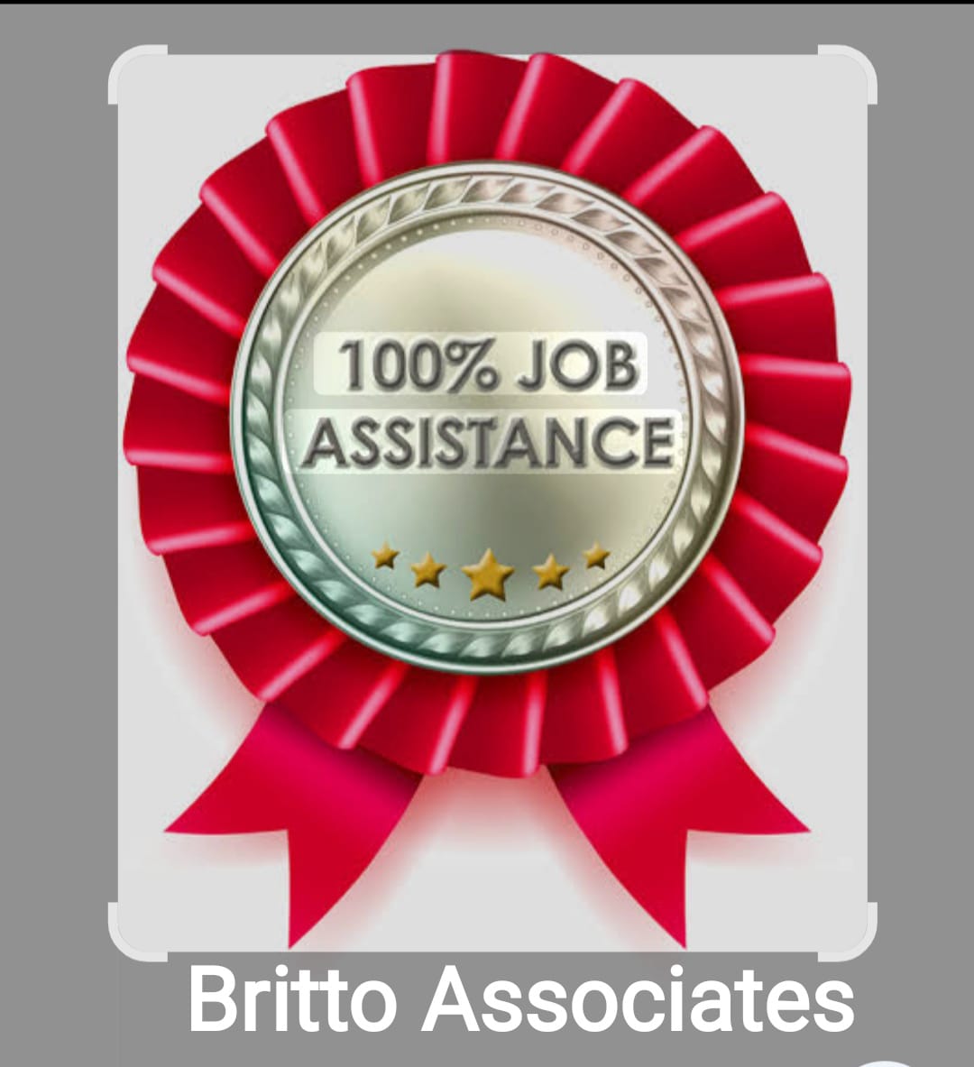 Job Assistance Badge
